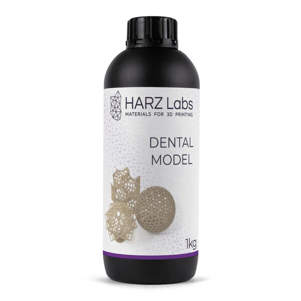 HARZ Labs Dental Model Beige